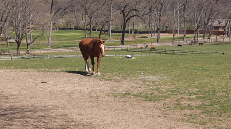 Enlarge photo 54