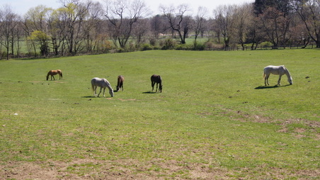 Enlarge photo 55