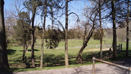 Enlarge photo 57