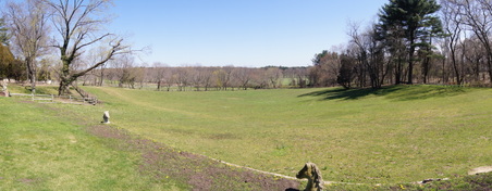 Enlarge photo 67