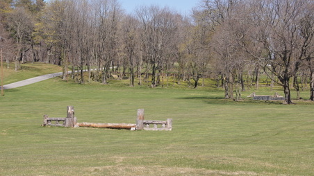 Enlarge photo 83