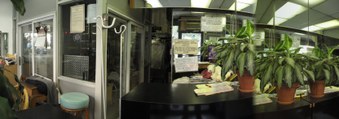 Yat Sing Cleaners