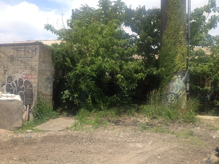Enlarge photo 28
