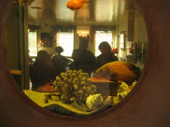 Enlarge photo 24