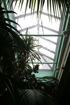 Enlarge photo 26