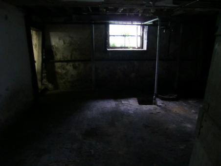 Enlarge photo 56