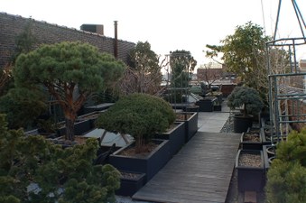 Enlarge photo 37