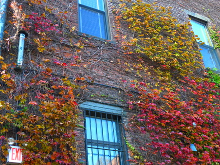 Enlarge photo 9