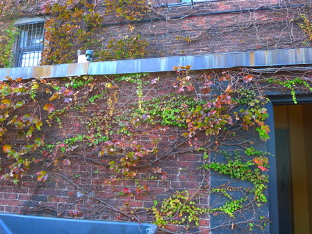 Enlarge photo 11