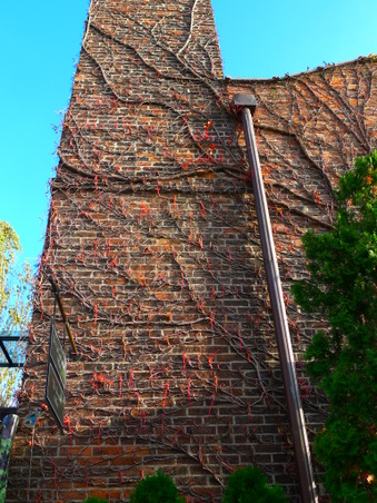 Enlarge photo 14