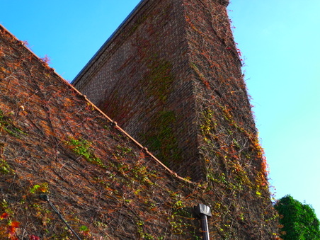 Enlarge photo 16