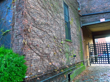 Enlarge photo 20