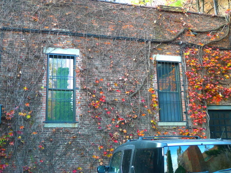 Enlarge photo 22