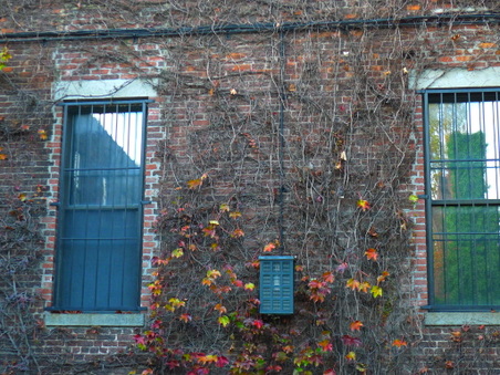 Enlarge photo 23