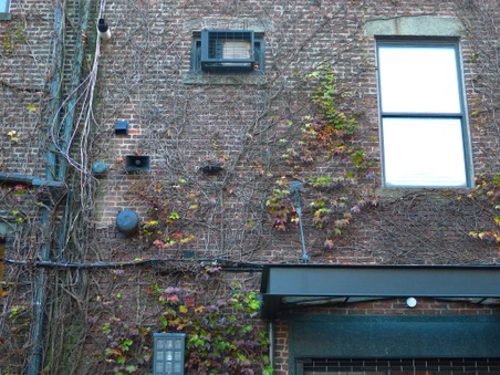 Enlarge photo 24