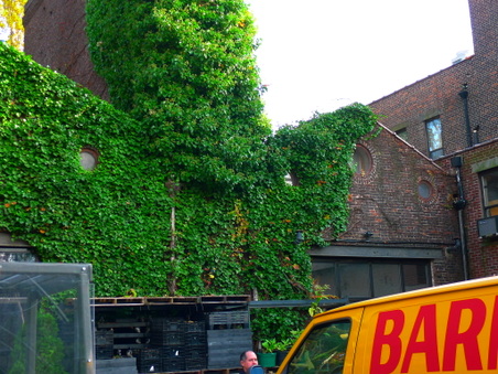 Enlarge photo 26
