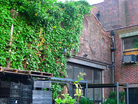 Enlarge photo 29