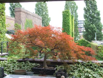 Enlarge photo 19