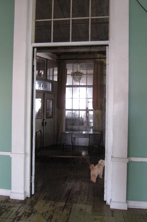 Enlarge photo 21