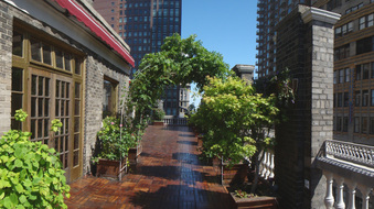 Enlarge photo 6