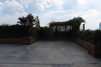 Enlarge photo 42