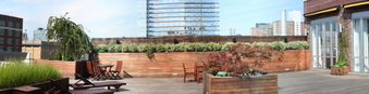 Enlarge photo 13