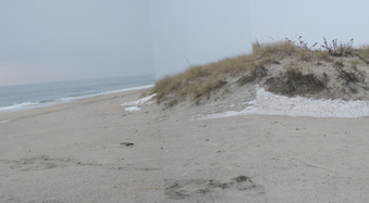 Enlarge photo 15