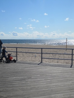 Enlarge photo 57