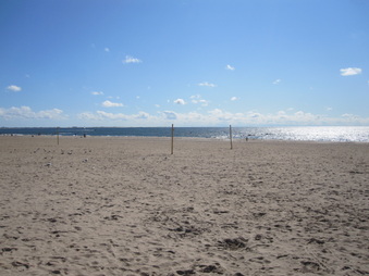 Enlarge photo 50