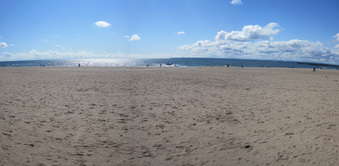 Enlarge photo 44