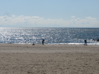 Enlarge photo 43