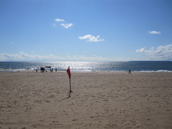 Enlarge photo 41