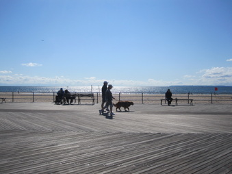 Enlarge photo 34