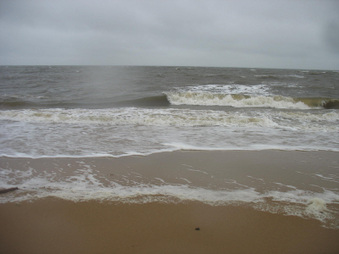 Enlarge photo 20