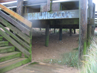Enlarge photo 25