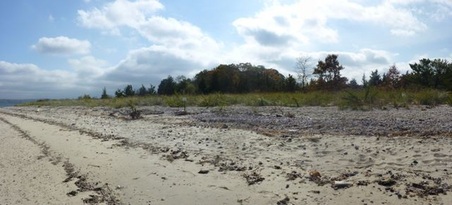 Enlarge photo 2