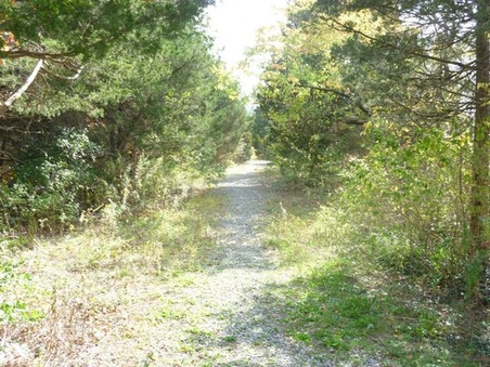 Enlarge photo 5