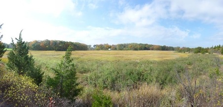 Enlarge photo 7