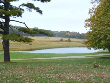 Enlarge photo 12
