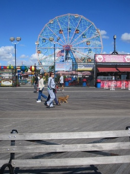 Enlarge photo 21