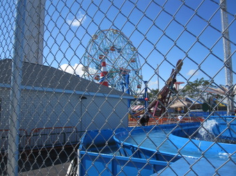 Enlarge photo 48