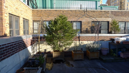 Enlarge photo 34