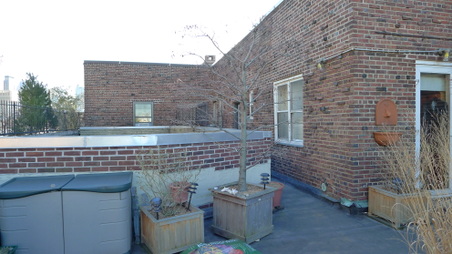 Enlarge photo 33
