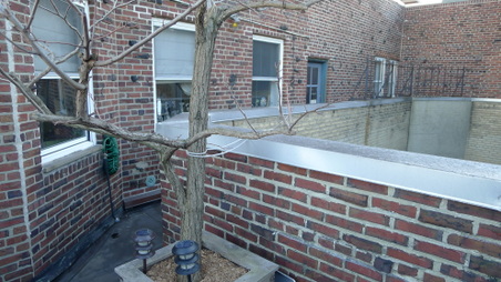 Enlarge photo 27