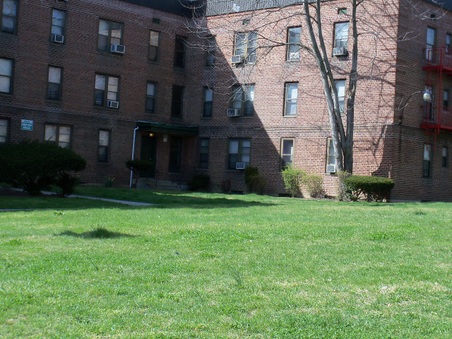 Enlarge photo 23