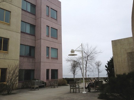 Menorah Home