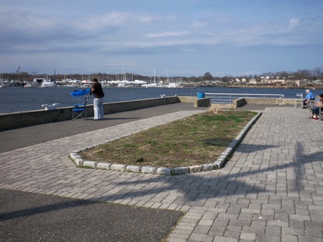 Enlarge photo 8