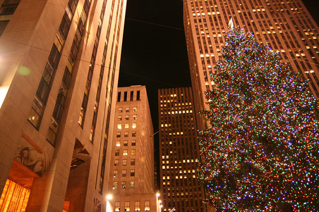 Enlarge photo 13
