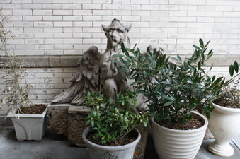 Enlarge photo 19