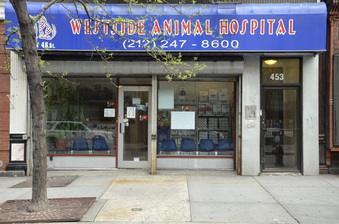 VETERINARY EXTERIOR (manhattan)
